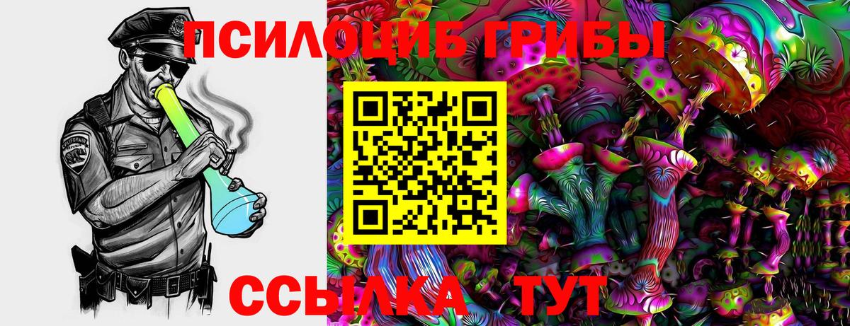 Псилоцибиновые грибы ЛСД Южноуральск